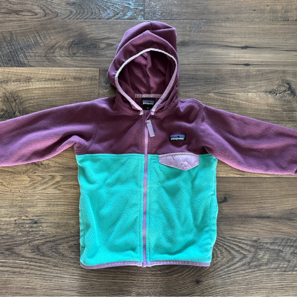 Patagonia 2T fleece zip up with hood